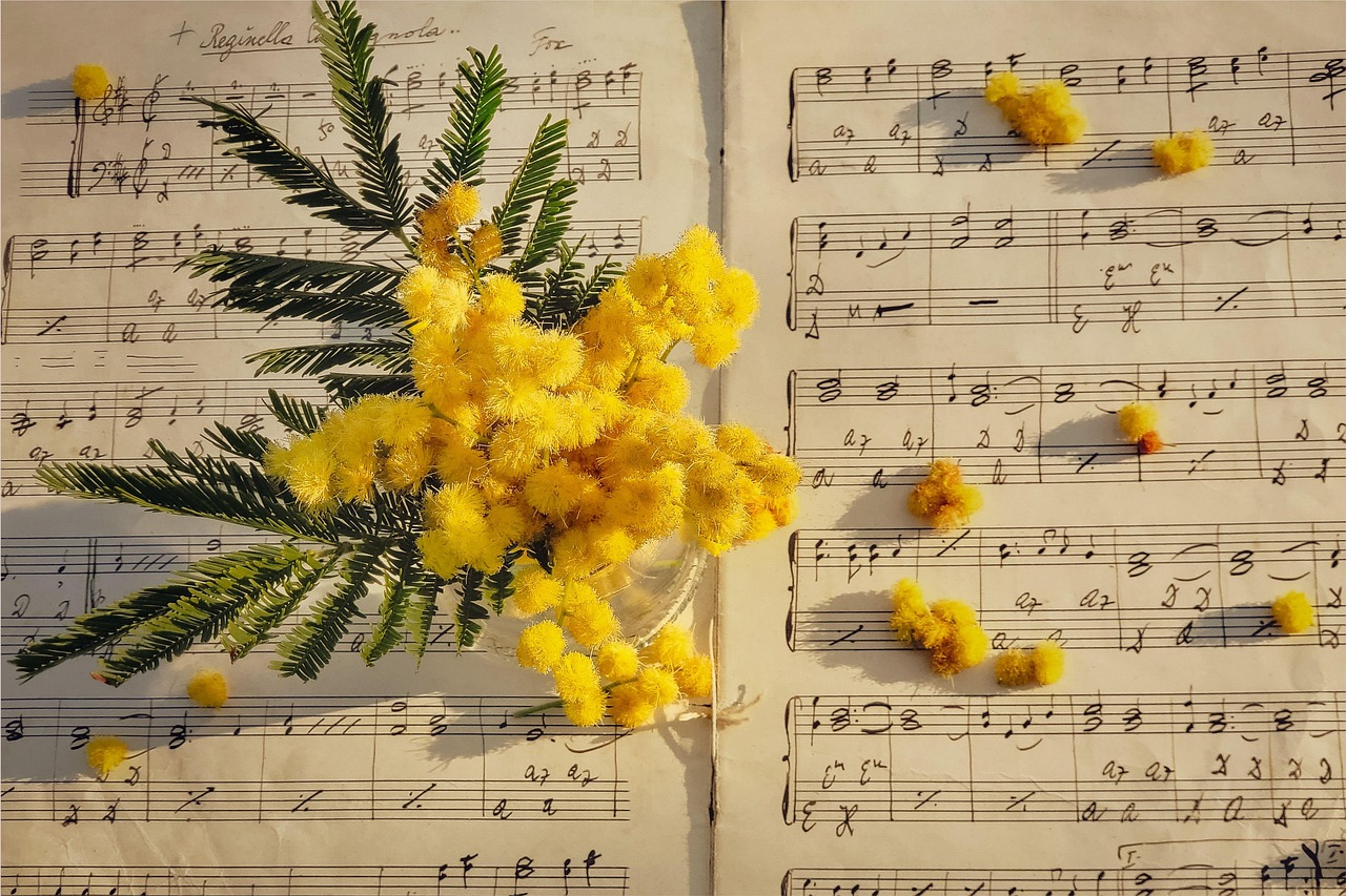 Music Paper - Printable Blank Sheet Music Staff Paper - 4