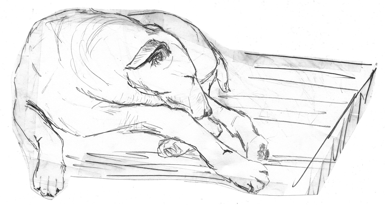 Pencil Art Dog Print - Charming Canine Wall Art for Dog Lovers - 2