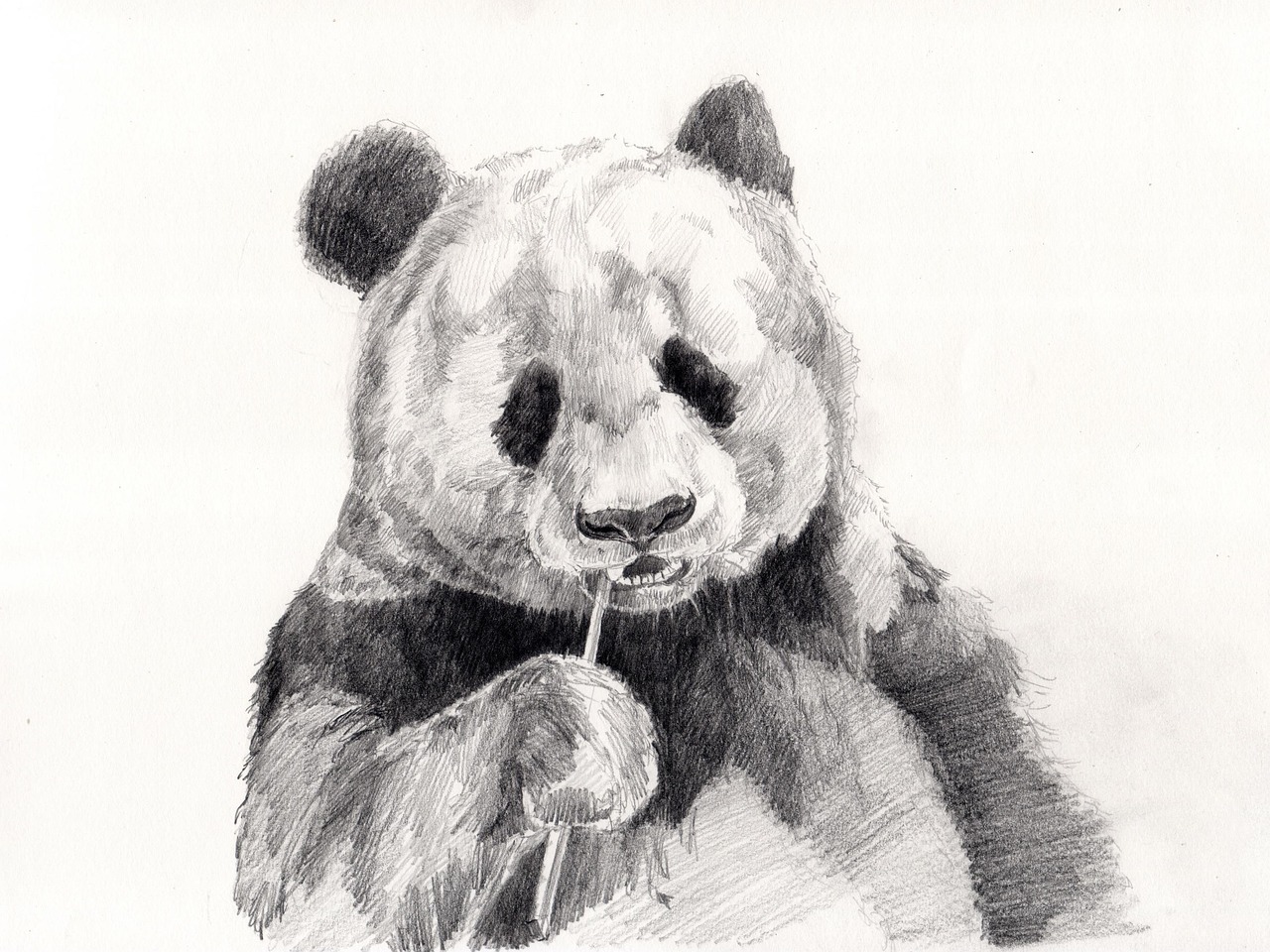 Pencil Art Dog Print - Charming Canine Wall Art for Dog Lovers - 4