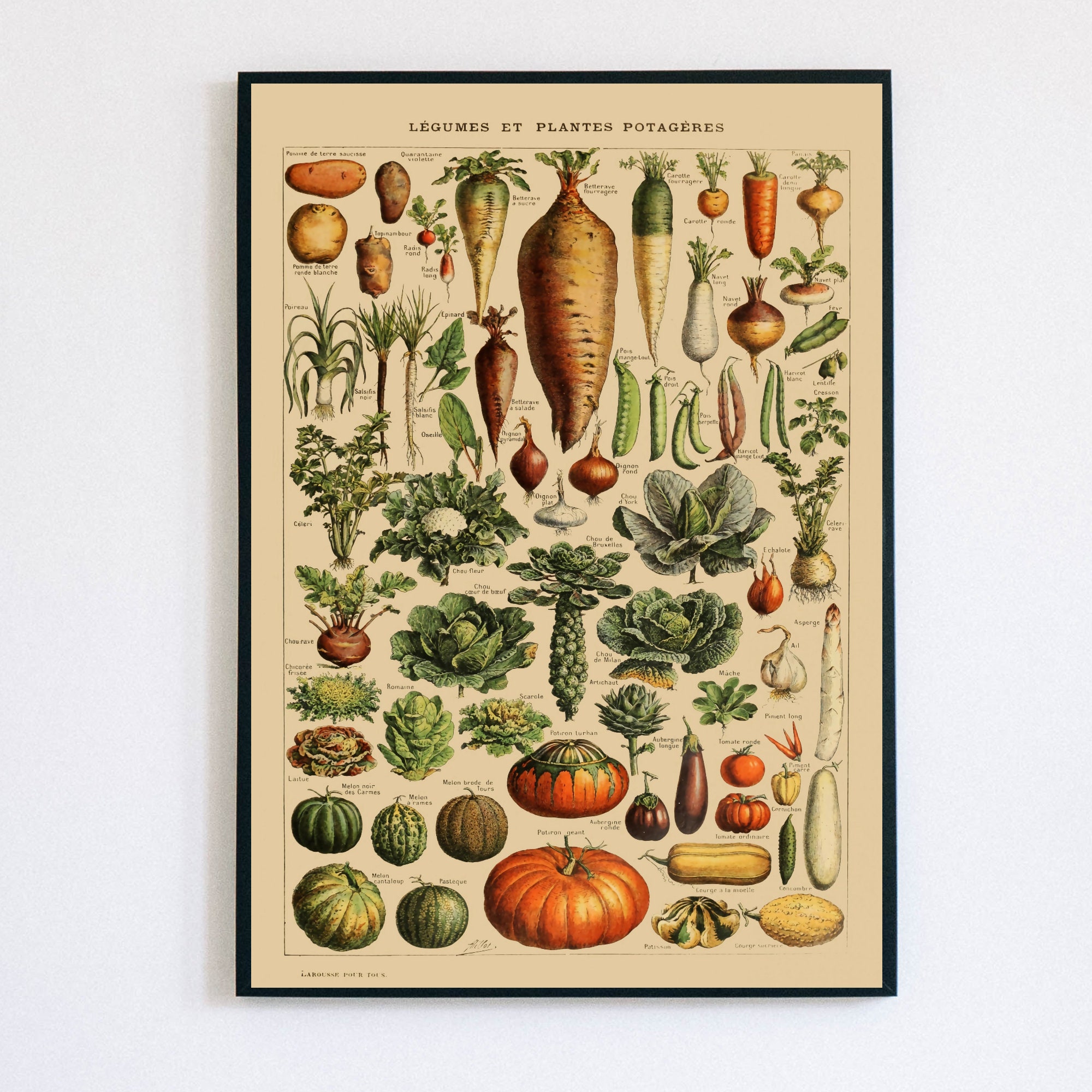 Timeless Botanical Art: Captivating Vegetable Prints for Kitchen Decor - 2