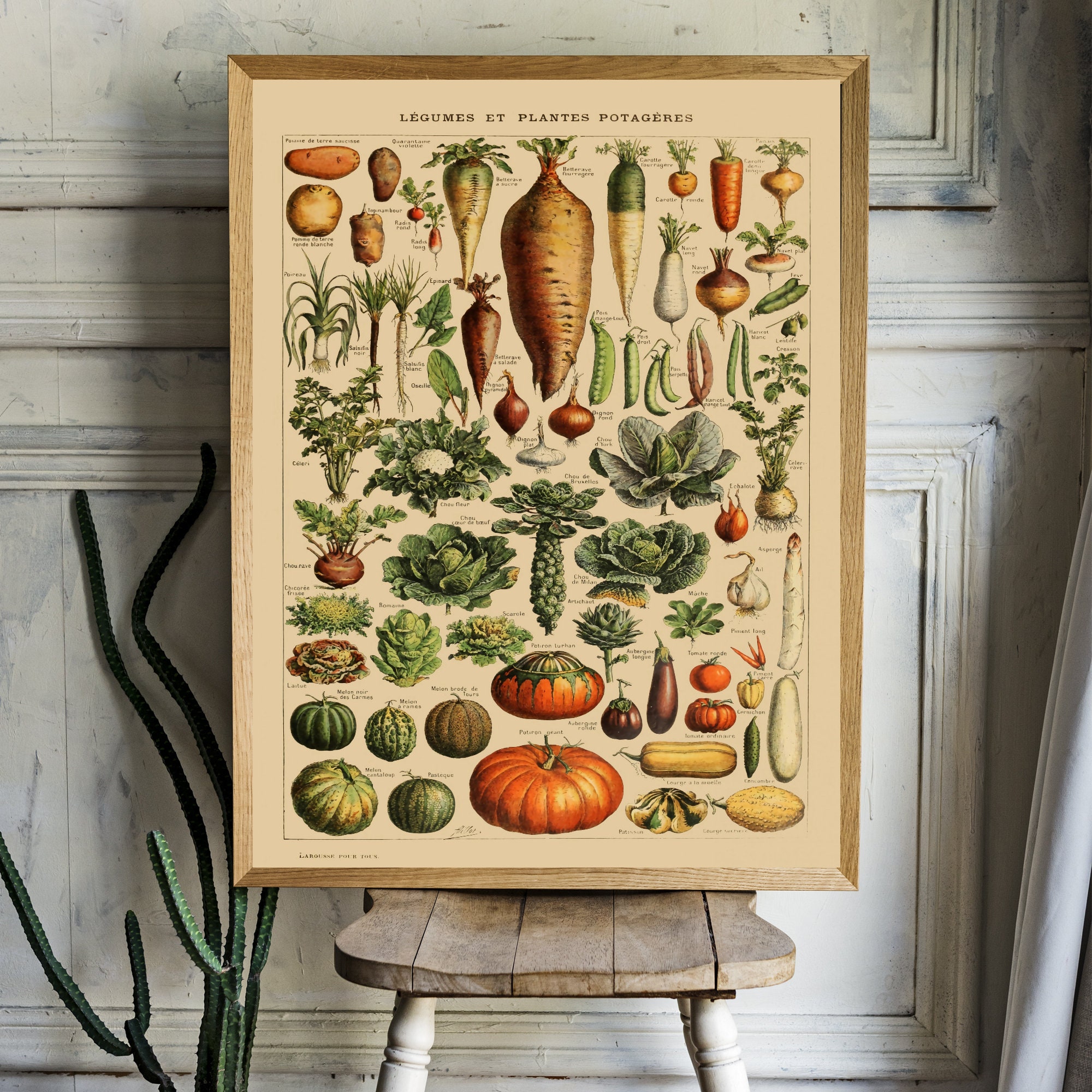 Timeless Botanical Art: Captivating Vegetable Prints for Kitchen Decor - 3