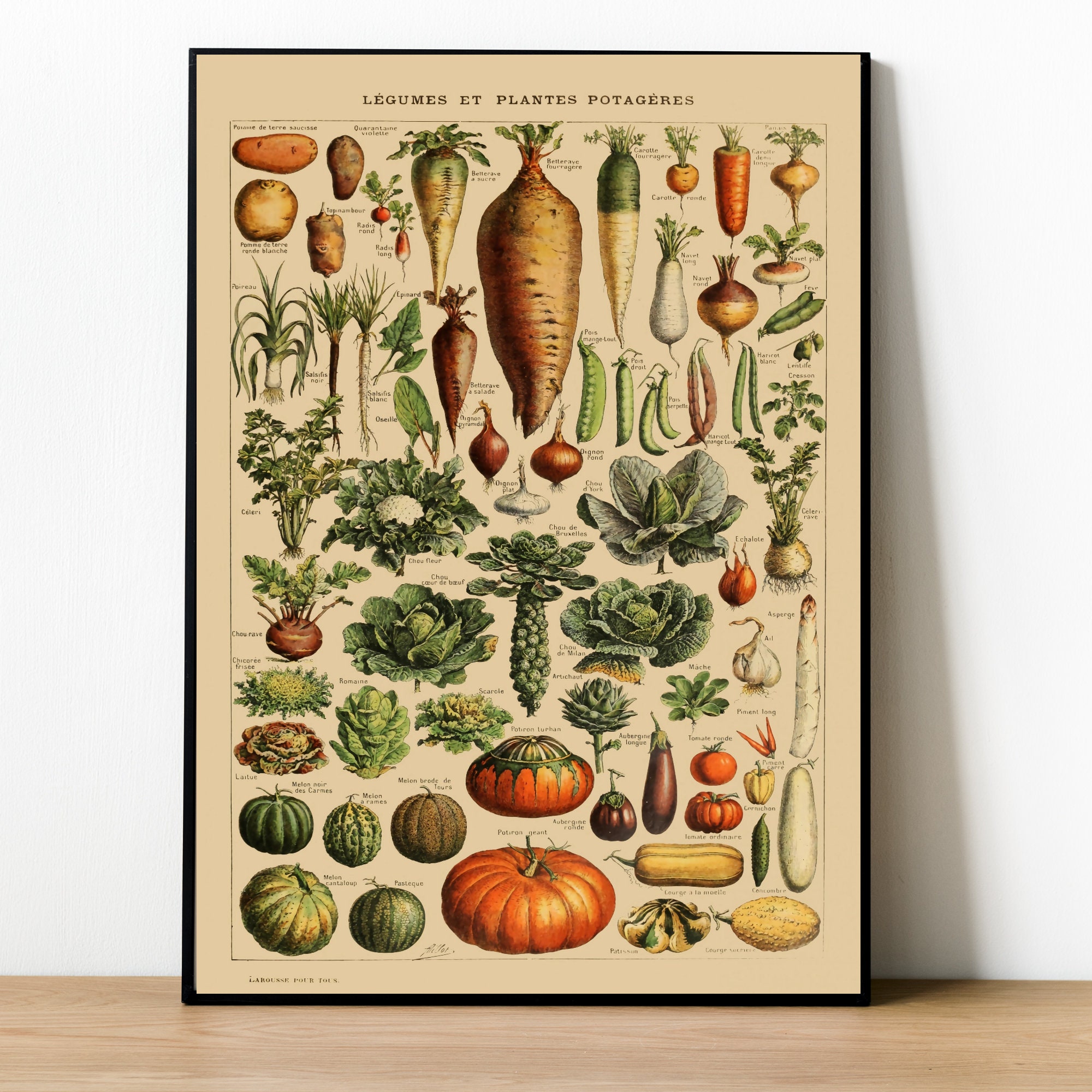 Timeless Botanical Art: Captivating Vegetable Prints for Kitchen Decor - 4