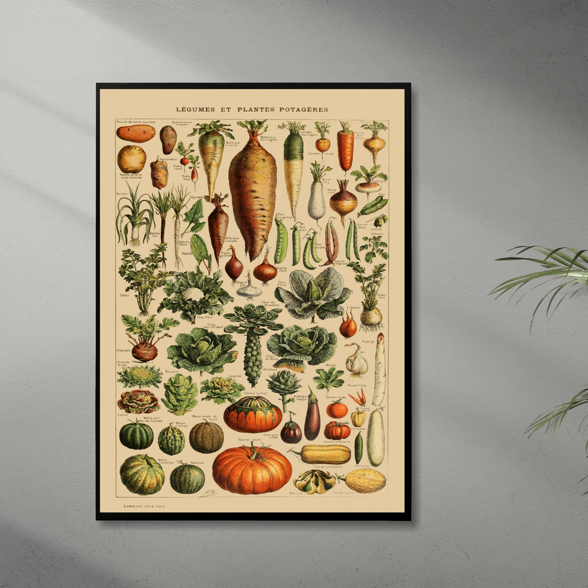 Timeless Botanical Art: Captivating Vegetable Prints for Kitchen Decor - 5
