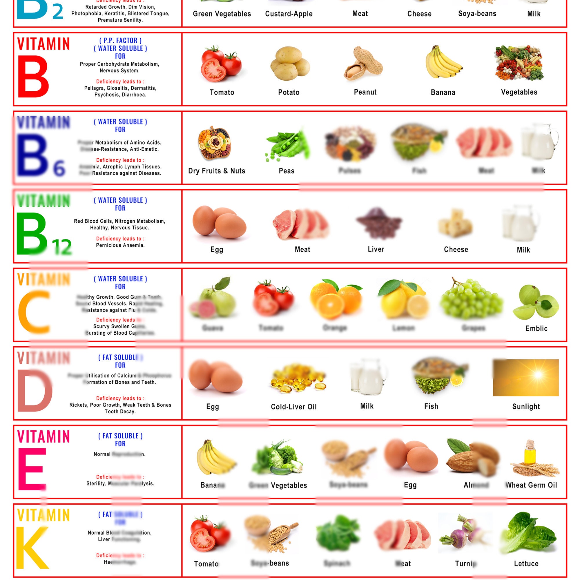Vitamin & Nutrition Food Chart - Comprehensive Health Poster - 2